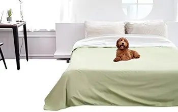Покрывало для собак, кошек и людей | Покрывало для кроватей, диванов и Чехлов для диванов | King and Queen 95 x 90 дюймов (Зеленый, бежевый) | Reve